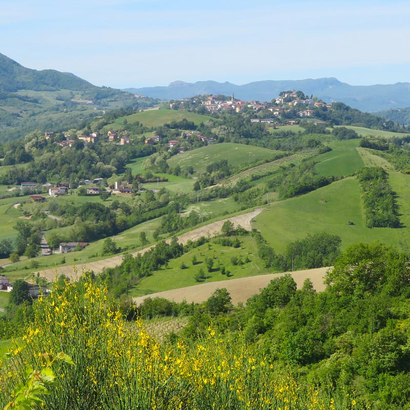 Vista di Vernasca